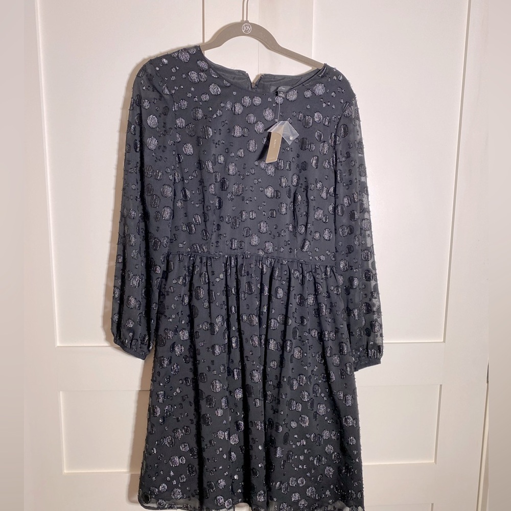 New J Crew Dress!